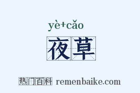 夜草是什么意思的图片